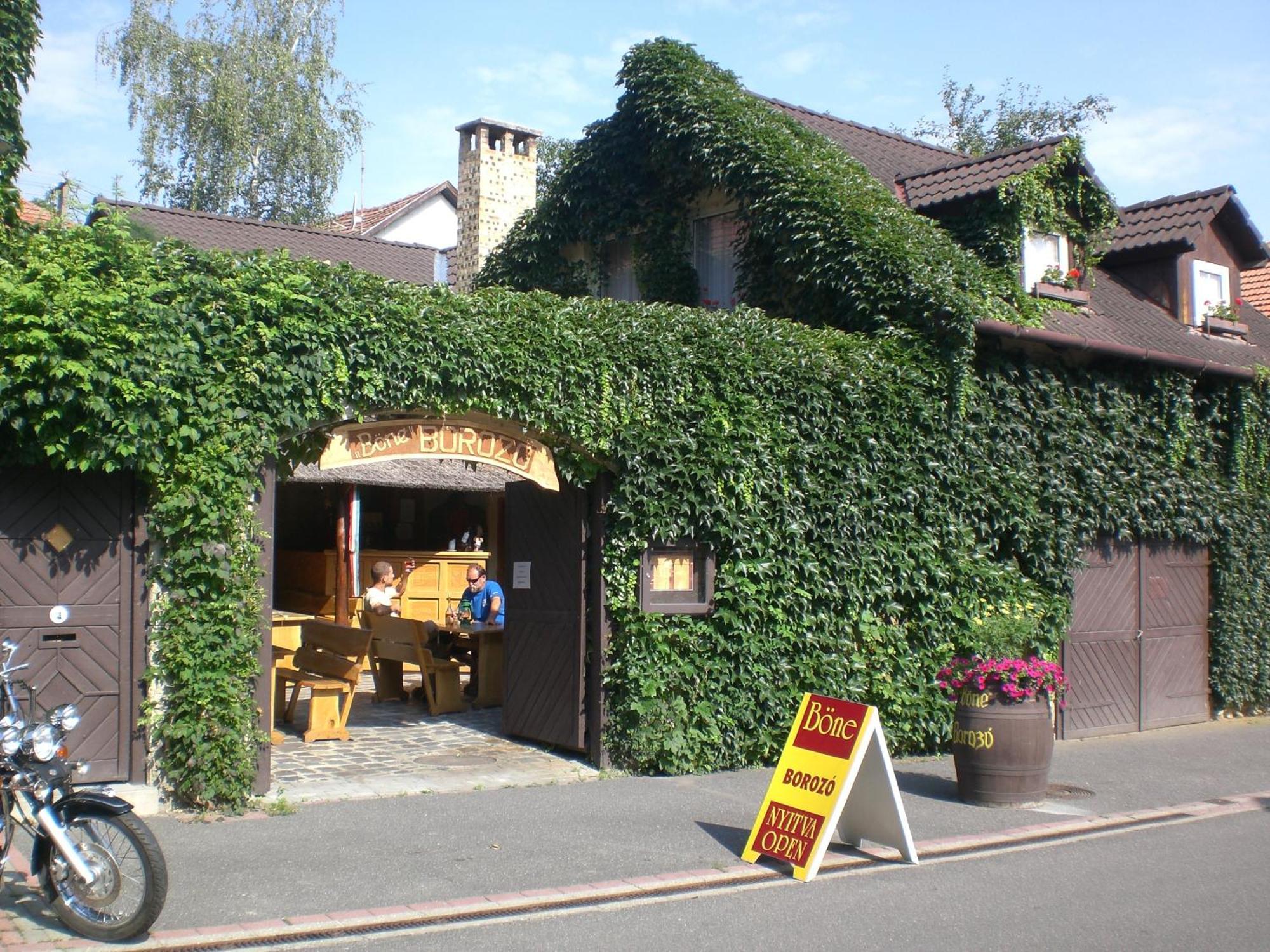 Böne Vendégház és Borozó Tokaj Exterior foto